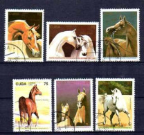 Chevaux Cuba 1995 (5) Yvert N° 3455 à 3460 Oblitéré Used - Horses