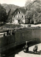 13355671 Langnau Albis Wirtshaus Wildpark Langenberg Baerengehege Langnau Albis - Altri & Non Classificati