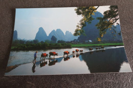 Lot De 2 CP De CHINE - Fisherman Over Lijiang River & Homeward Bound From The Pasture - China