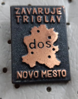 Zavarovalnica TRIGLAV Novo Mesto, Insurance, Assurance Seguro Slovenia Pin - Trademarks