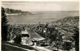 13332673 Les Pleiades Berggaststaette Blick Auf Genfersee Les Pleiades - Autres & Non Classés