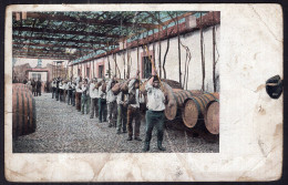 Portugal - Circa 1920 - Madeira - Vineyard Workers - Hombres