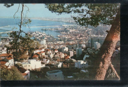 Cpsm Alger Vue Panoramique - Algiers