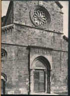 °°° 30770 - FERENTINO - S. MARIA MAGGIORE (FR) °°° - Otros & Sin Clasificación