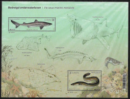 BÉLGICA /BELGIUM /BELGIQUE /BELGIEN /BELGIË - EUROPA 2024 -"UNDERWATER FLORA And FAUNA".-  SOUVENIR SHEET MINT - 2024