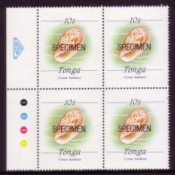 Tonga 1987 10s Shell Block Of 4 Specimen - Scarce (no Date At Bottom) - Conchiglie