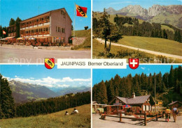 13311061 Jaunpass Hotel Des Alpes Panorama Simmental Gastlosen Freiburger Vorlap - Otros & Sin Clasificación