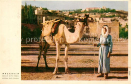 13309268 Nazareth Israel Beduin With Camel Nazareth Israel - Israel