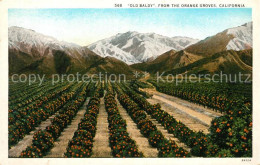 13307921 California_US-State Old Baldy From The Orange Groves - Andere & Zonder Classificatie