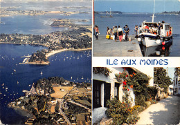 56-ILE AUX MOINES-N°531-A/0353 - Ile Aux Moines