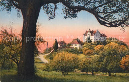 13301881 Stettfurt Schloss Sonnenberg Stettfurt - Sonstige & Ohne Zuordnung