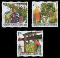 LIECHTENSTEIN 2003 Nr 1322-1324 Gestempelt X29879E - Gebruikt