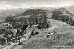 13301781 Rigi Staffel Wanderweg Nach Der First Alpenpanorama Rigi Staffel - Autres & Non Classés