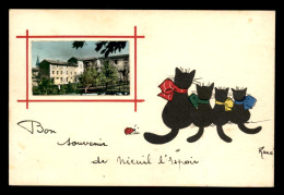 86 - NIEUIL L'ESPOIR - SOUVENIR - VUE ET CHATS NOIRS - CARTE SIGNEE RENE - Altri & Non Classificati