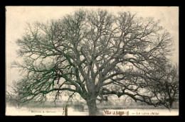 84 - ST-DIDIER - LE GROS CHENE - ARBRE - Sonstige & Ohne Zuordnung