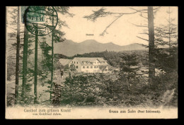 67 - SALM - ANNEXE DE LABROQUE - GASTHOF ZUM GRUNEN KRANZ - Autres & Non Classés