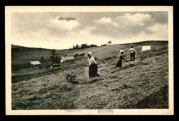 68 - OBERHUTTEN - LES MOISSONS - AGRICULTURE - Autres & Non Classés