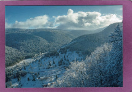 88 Vallée Du Valtin Le Valtin  Photographe Damien GUIOT - Sonstige & Ohne Zuordnung