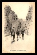 ALGERIE - EL-KANTARA - PASSAGE DE LA GORGE - CHAMEAUX - EDITEUR GEISER - Autres & Non Classés