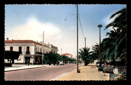 ALGERIE - LOURMEL - AVENUE PRINCIPALE - Autres & Non Classés