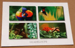 Carte Postale - France - Guadeloupe - Diverses Vues - Otros & Sin Clasificación