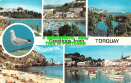 R522476 Greetings From Torquay. Abbey Sands. Waldon Hill. Abbey Gardens. Photo P - Monde