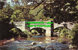 R522698 Dartmoor. Fingle Bridge. Postcard. 1970 - Monde