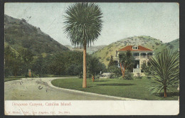 UNITED STATES - Descanso Canyon, Catalina Island - 1905 Old Postcard (see Sales Conditions)10202 - Other & Unclassified