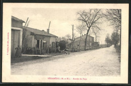 CPA Bénaménil, Entrée Du Pays, Vue De La Rue Am Ortsausgang  - Altri & Non Classificati