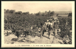 AK Les Vendanges, Le Retour Pour Le Dejeuner  - Wijnbouw