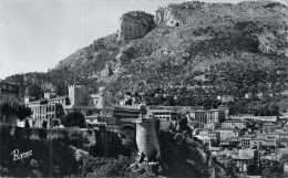 CPSM Monaco-Plalais Du Prince Et La Tête De Chien       L2872 - Palazzo Dei Principi