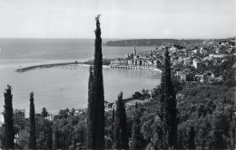 CPSM Menton-Vue Prise Des Colombières       L2872 - Menton