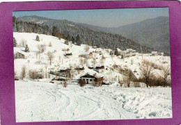 88 BUSSANG Vue Sur L'Arcenaire BAR APPOLO XVIII - Bussang