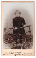 Fotografie Fr. Friedemann, Dresden, Portrait Niedliches Kleinkind Im Weissen Kleidchen  - Persone Anonimi