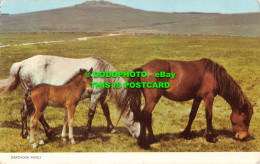 R523401 Dartmoor Family. Jarrold. RP. Postcard - Monde