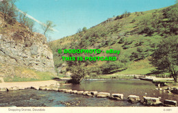 R523628 Dovedale. Stepping Stones. E. T. W. Dennis - Monde