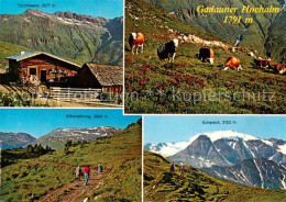 73861735 Badgastein AT Tuerchlwand Gadauner Hochalm Silberpfennig Schareck  - Other & Unclassified