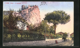 Cartolina Arco, Il Castelli  - Other & Unclassified