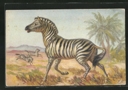 Künstler-AK Zebras In Der Afrikanischen Savanne  - Zebras