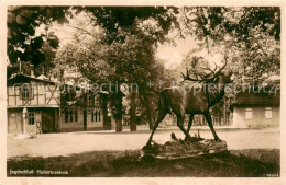 73819829 Finow Eberswalde Jagdschloss Hubertusstock Hirschskulptur Finow Eberswa - Eberswalde