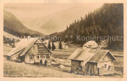 73819795 Riesengebirge_Krkonose_Karkonosze Der Riesengrund - Tchéquie