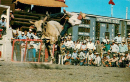 73764071 Calgary Canada Stampede Brahma Bull Riding  - Zonder Classificatie