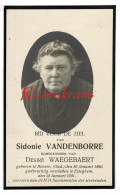 Sidonie Vandenborre Desiré Waegebaert Bevere Beveren Oudenaarde Elsegem Elseghem 1931 Met Foto Bidprentje Doodsprentje - Esquela