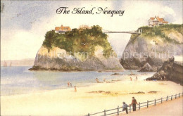 72230911 Newquay Island  Newquay - Altri & Non Classificati