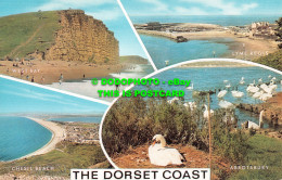 R524225 The Dorset Coast. Salmon. Multi View - Monde