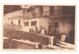 ALGERIE - Gorges De La CHIFFA - L'Hotel Du Ruisseau Des Singes   - TOUL 7 - - Autres & Non Classés