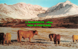 R524293 The Cuillin Hills From Glen Brittle. Isle Of Skye. PT36379 - Welt