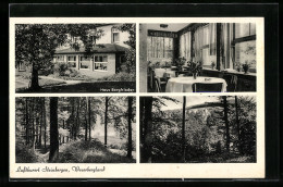 AK Steinbergen, Haus Bergfrieden, Bes. W. Bothe, Waldpartien  - Autres & Non Classés