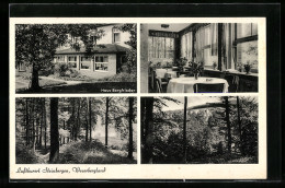 AK Steinbergen, Haus Bergfrieden, Bes. W. Bothe, Waldpartien  - Altri & Non Classificati