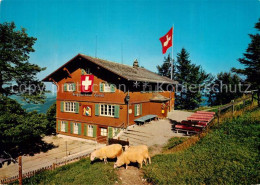 13287318 Steg Toesstal Berggasthaus Hoernli-Kulm Steg Toesstal - Otros & Sin Clasificación